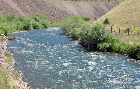 A Small Rapids Section on the Beaverhead River in Montana