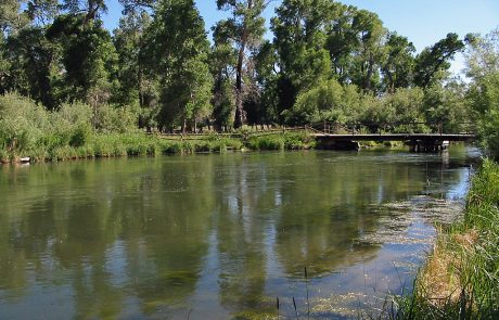 Just Above Barrett's Dam on the Beaverhead River