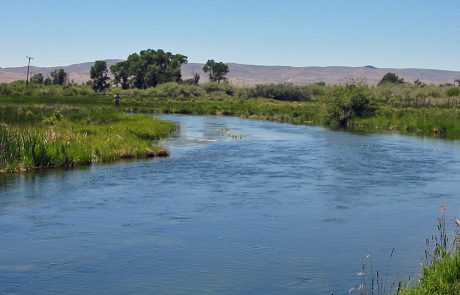 Beaverhead River at Poindexter Slough in Southwest Montana