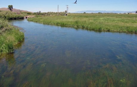 Beaverhead River in Southwest Montana