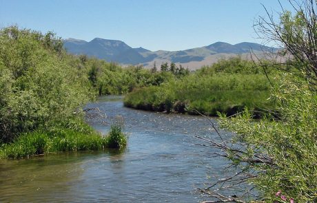 Beaverhead River in Southwest Montana