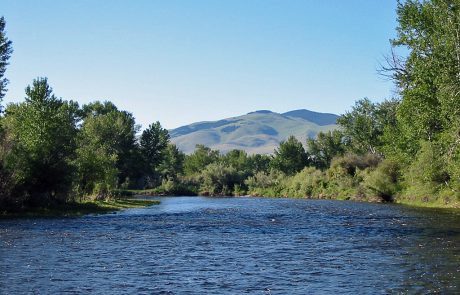 Big Hole River near Melrose