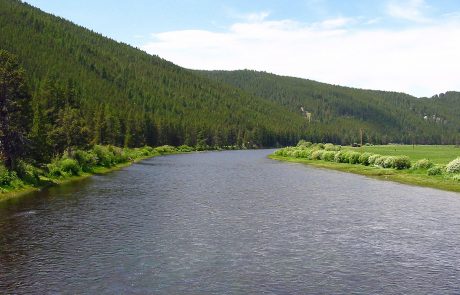 Big Hole River Downstream from Wisdom