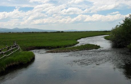 Big Hole River near Wisdom