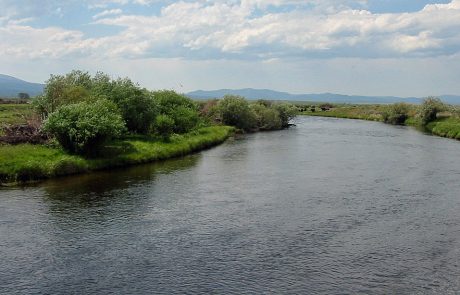 Big Hole River near Wisdom