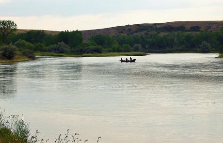 Fishing the Bighorn River in Montana