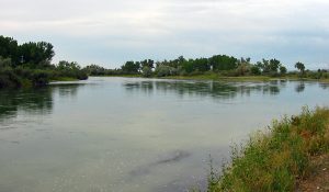 Lower Bighorn River in Montana