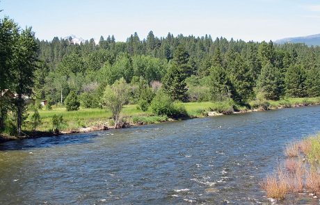 The Bitterroot River in Montana