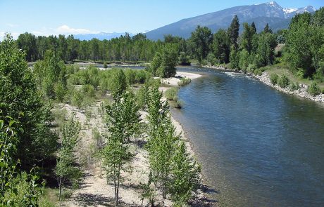 Bitterroot River at Demmons Fishing Access Site near Hamilton, Montana