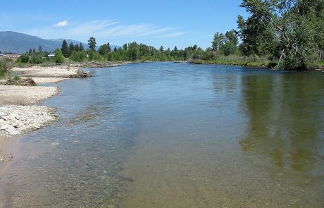 Bitterroot River in Montana