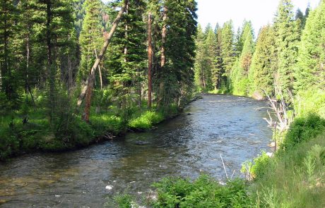 East Fork Bitterroot River