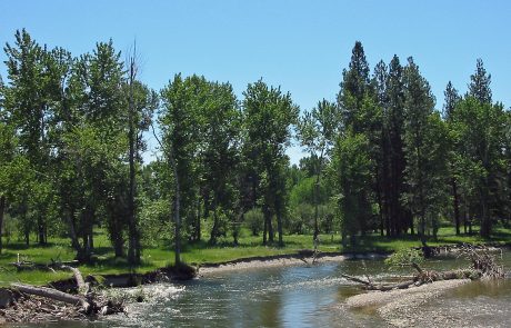 The Bitterroot River