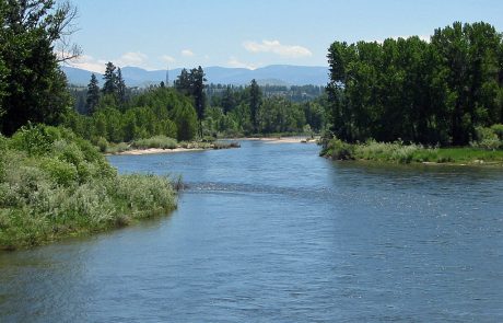 The Bitterroot River