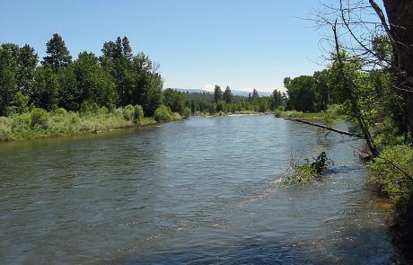 The Bitterroot River at Chief Looking Glass Fishing Access Site