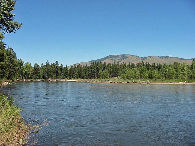 The Bitterroot River in Montana Detailed Fly Fishing & Floating Guide
