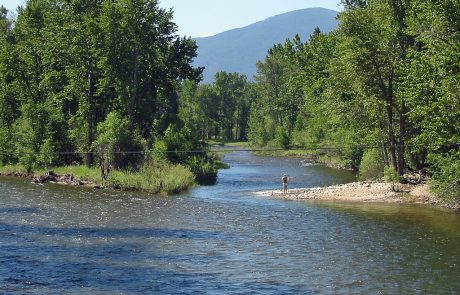 Fly Fishing the Bitterroot River in Montana, near Connor