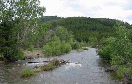 The Upper Blackfoot River