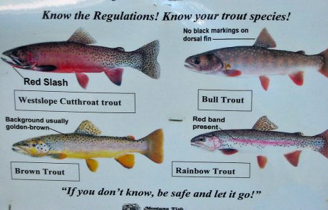 Know Your Trout Sign in the Blackfoot River Corridor