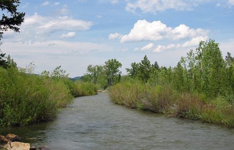 The Upper Blackfoot River