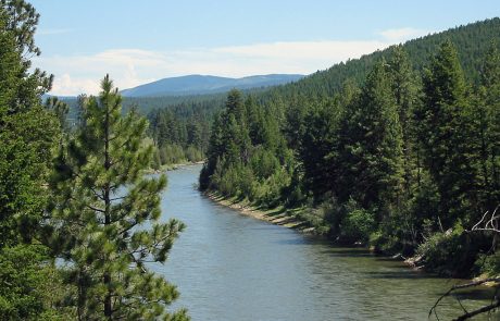 Blackfoot River near Corrick River Bend Fishing Access Site