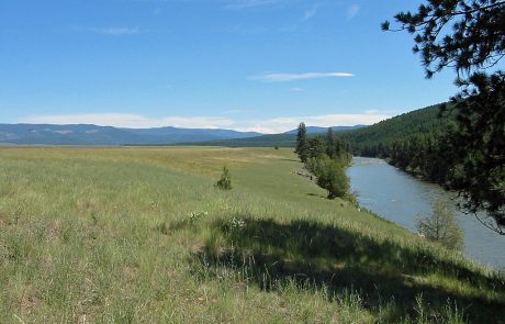 Blackfoot River near Corrick River Bend Fishing Access Site