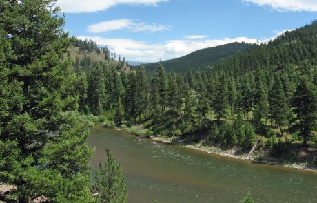 Blackfoot River in the Blackfoot River Corridor