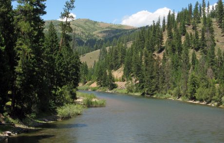 Blackfoot River in the Blackfoot River Corridor