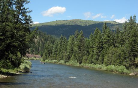 Blackfoot River in the Blackfoot River Corridor