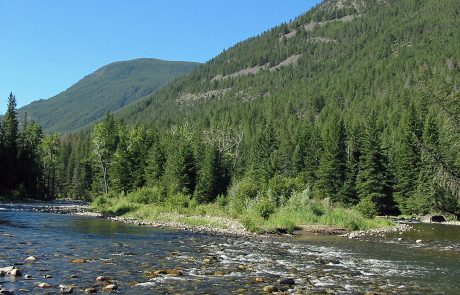 Shallow Water on the Boulder River