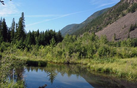 Beaver Pond along the Boulder River