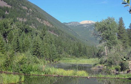 Beaver Dam on the Boulder River