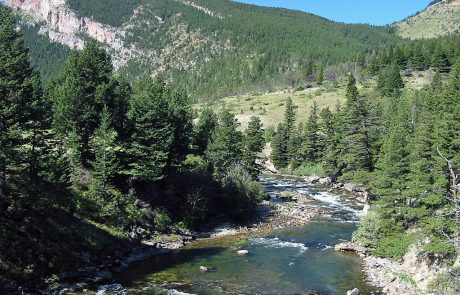 Boulder River Upstream from Natural Bridge State Park