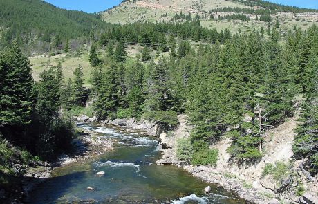 Boulder River Just Upstream from Natural Bridge