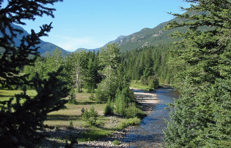 Open Meadow along the Boulder River