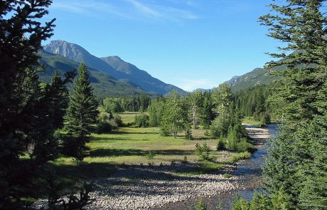 Open Meadow along the Boulder River