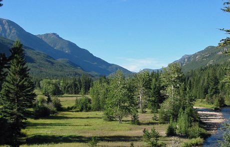 Open Meadow along the Boulder River