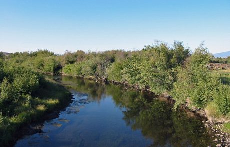 The Upper Clark Fork is Quite Narrow