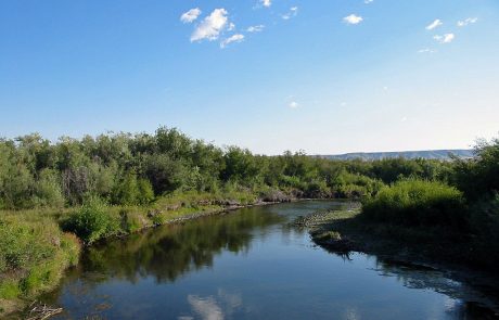 The Upper Clark Fork is Quite Narrow