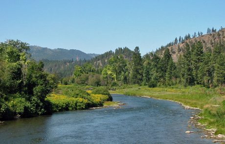 The Clark For near Drummond, Montana