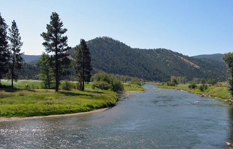 The Clark For near Drummond, Montana