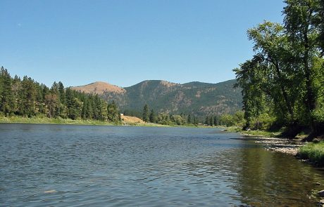 Lower Clark Fork at Patty Creek Fishing Access Site