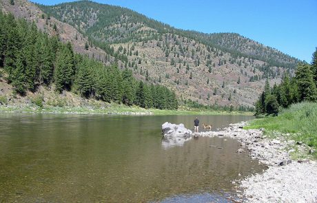 The Clark Fork near Plains, Montana