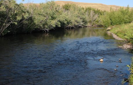 The Upper Clark Fork River