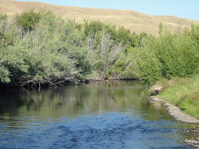 The Upper Clark Fork River