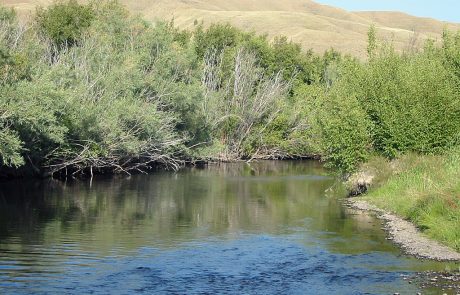 The Upper Clark Fork River