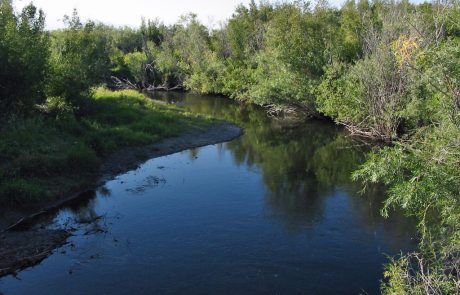 The Upper Clark Fork River