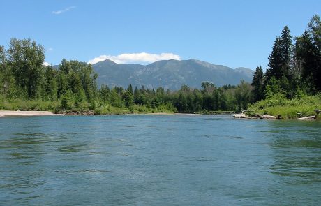 The Flathead River in Northwest Montana