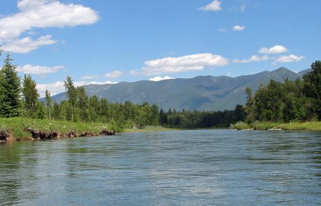 The Flathead River in Northwest Montana