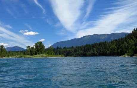 Downstream from Columbia Falls on the Main Stem of the Flathead River