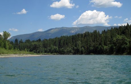 The Flathead River in Northwest Montana